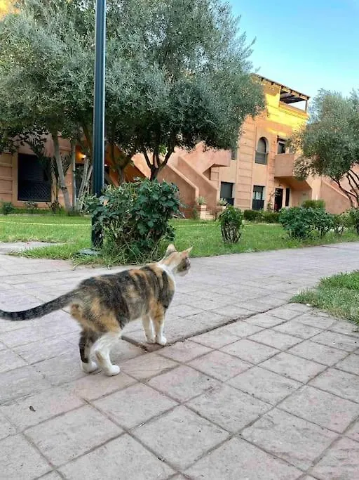 Splendide « Duplex » A Atlas Golf Resort ile iletişim